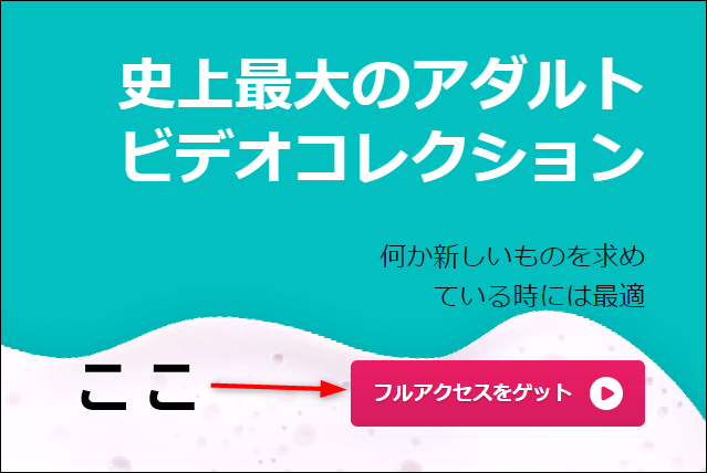 フルアクセスをゲット